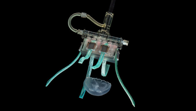 Scientists Made a Robotic Hand that are great at grabbing jellyfish