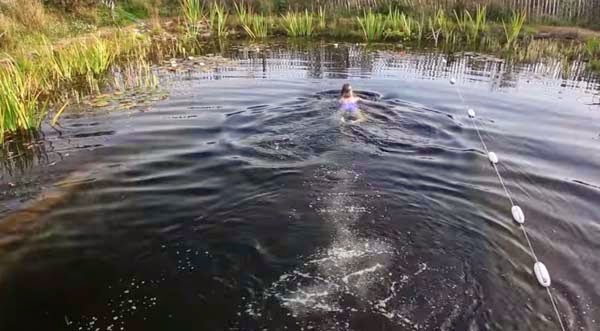 And then swimming in it! - See This Pond? It’s Hiding A Secret That You’re Going To Absolutely Love…. Trust Me. And then swimming in it! - See This Pond? It’s Hiding A Secret That You’re Going To Absolutely Love…. Trust Me.