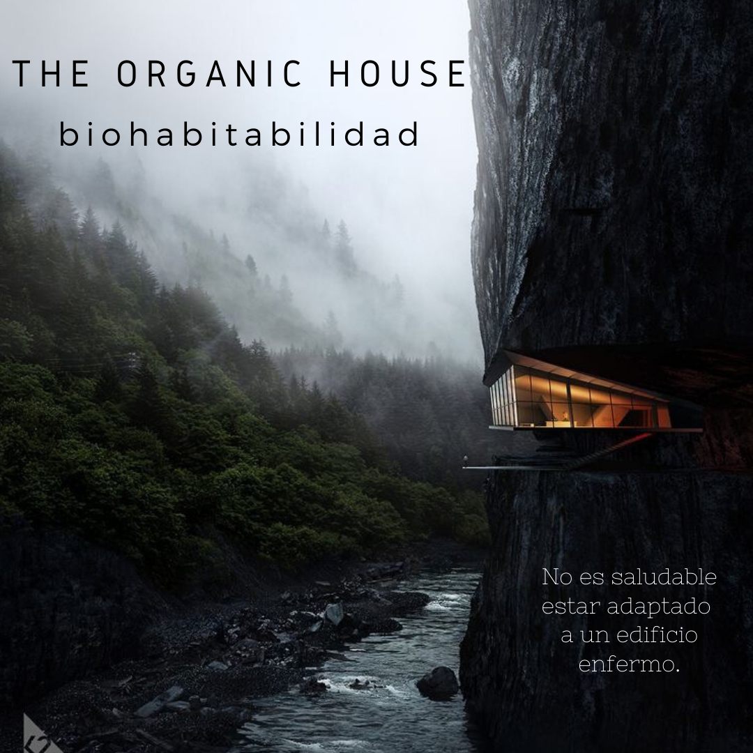 THE ORGANIC HOUSE