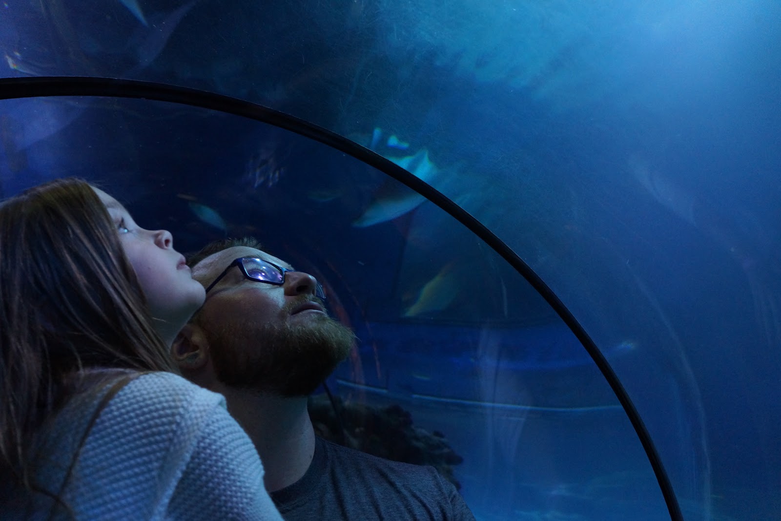 london aquarium tunnel