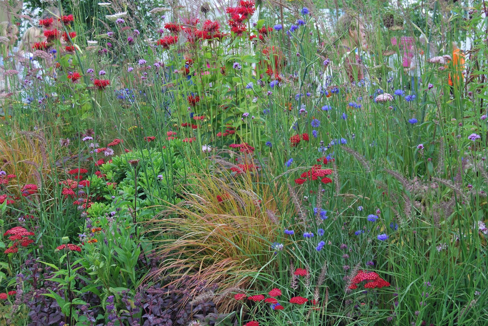 The Outlaw Gardener Summer At Swanson S Nursery