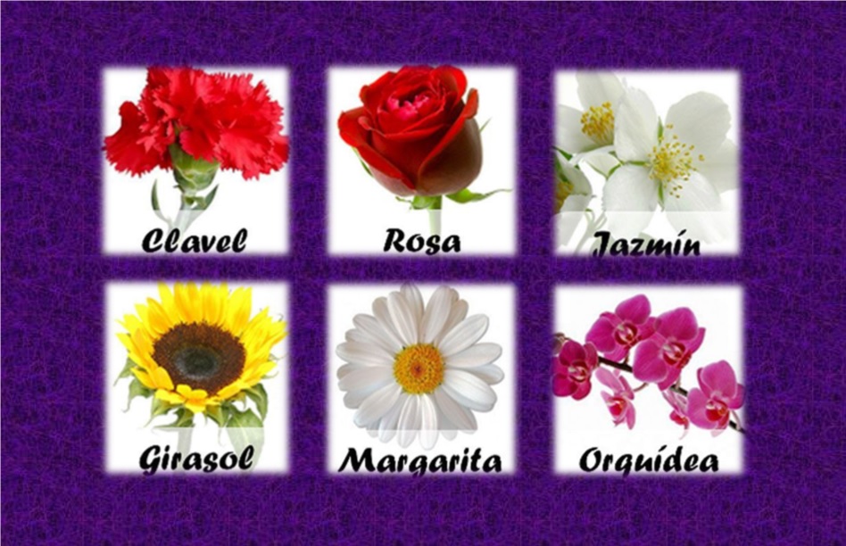 Horóscopos Diarios ELIGE TU FLOR FAVORITA Y DESCUBRE UN MENSAJE SOBRE Horóscopos Diarios ELIGE TU FLOR FAVORITA Y DESCUBRE UN MENSAJE SOBRE