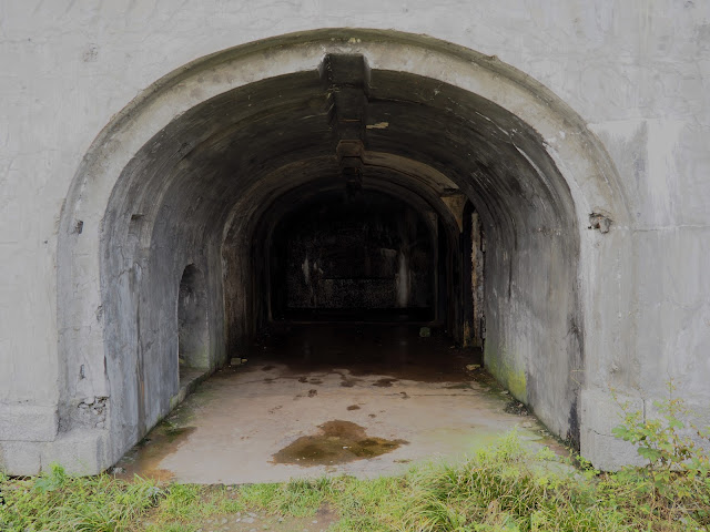 Владивосток, остров Русский, мыс Тобизина - форт