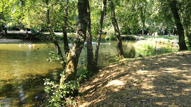 Zona Fluvial de Felinhos