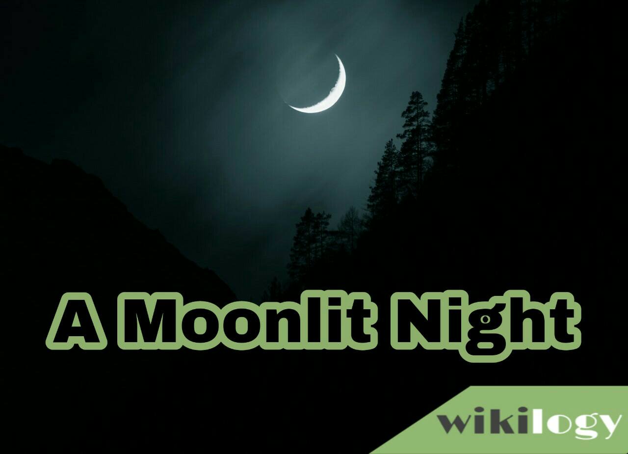 A Moonlit Night Paragraph
