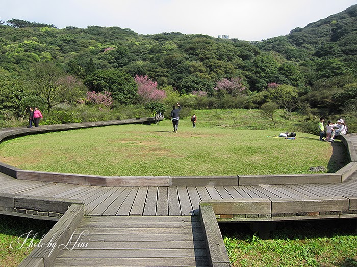 【陽明山景點】大屯自然公園。台北也有野餐聖地賞櫻祕境