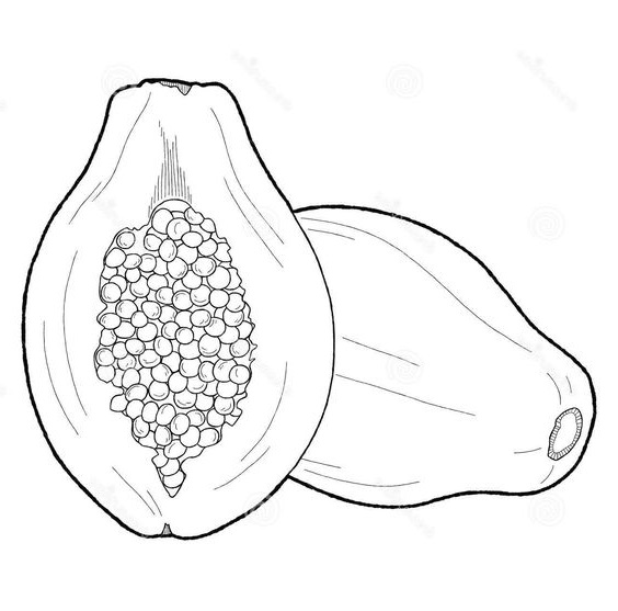 √ 30+ Mewarnai Sketsa Buah Buahan Yang Mudah Servergambar01