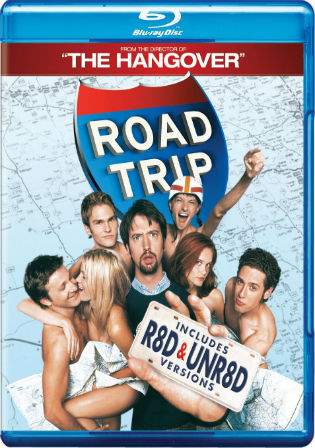 Road Trip 2000 BluRay 300MB Hindi Dual Audio 480p