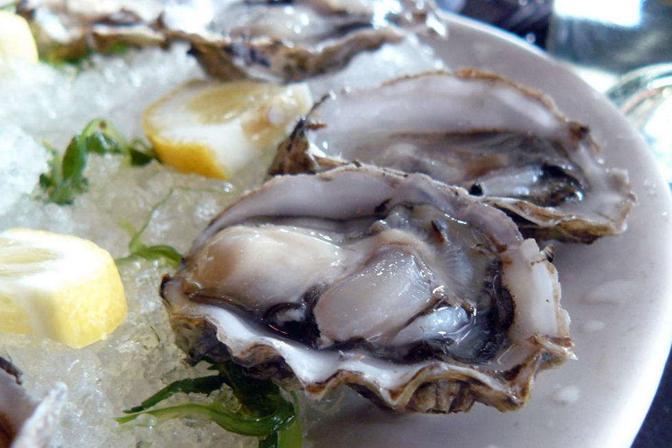 Batterio mangiacarne: donna muore dopo aver mangiato frutti di mare in spiaggia | Salute News