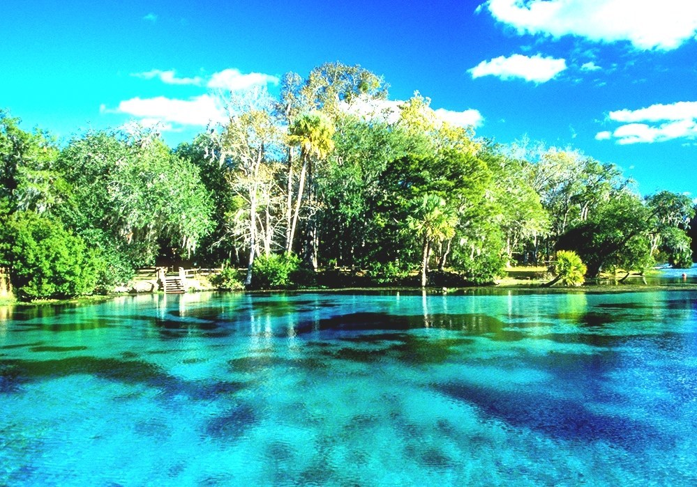 Ocala National Forest Ocala State Forest