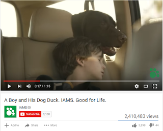 Screenshot of IAMs top YouTube Post