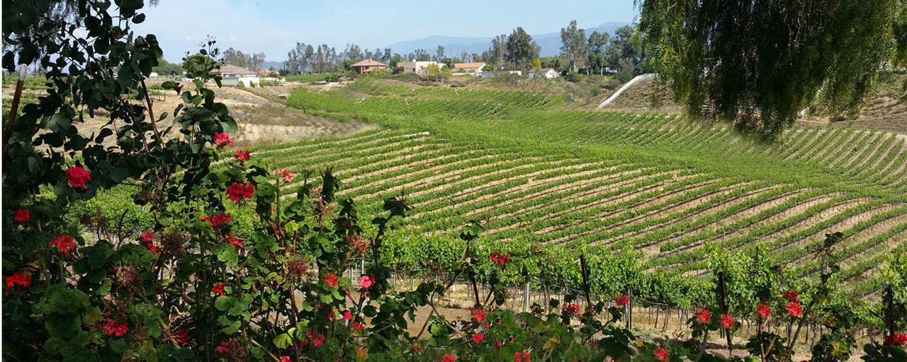 Temecula Real Estate Casas De Venta Temecula CA Temecula Real Estate