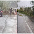 Προσοχή: Πτώση δέντρου στον δρόμο Πλαταριά - Σύβοτα