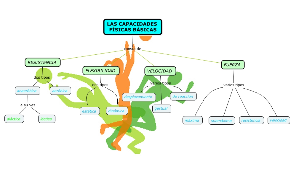 Ponte en forma y cambia tu vida. Relación de las capacidades físicas básicas(C.F.B.)con los Ponte en forma y cambia tu vida. Relación de las capacidades físicas básicas(C.F.B.)con los