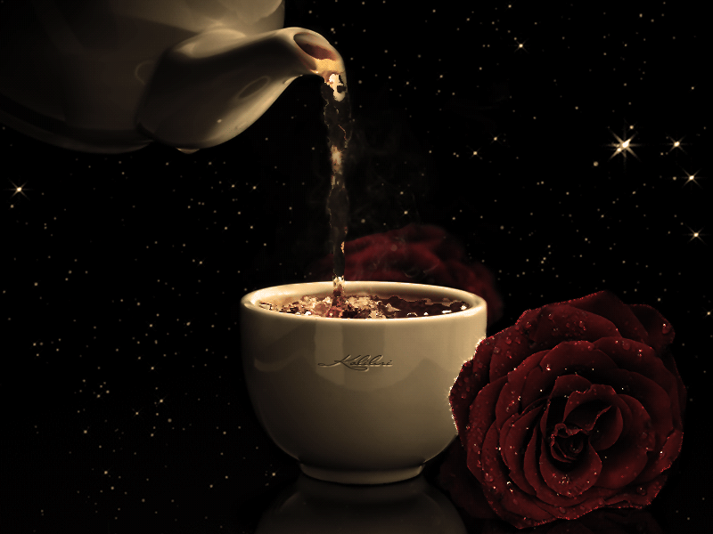 Блог Колибри