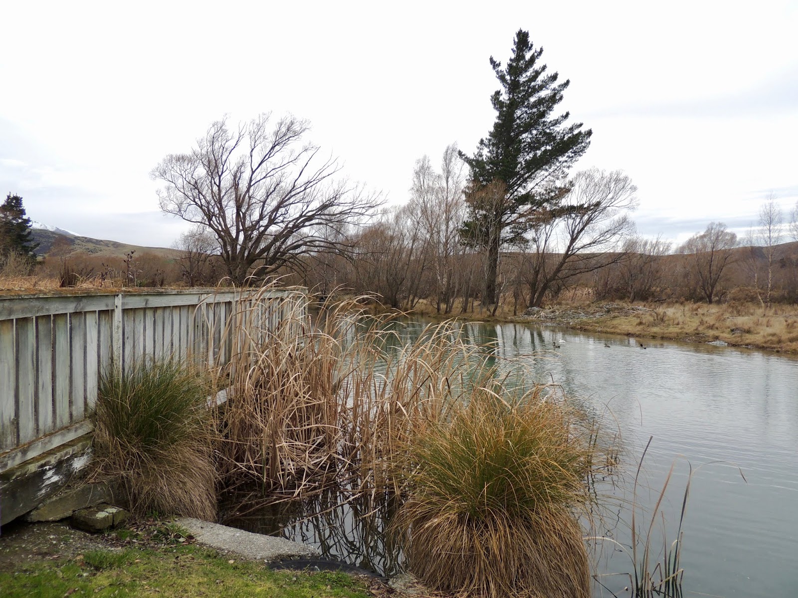 THE ROAD TAKEN Kurow on the Waitaki River