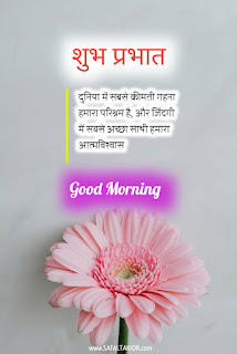 Good Morning in Hindi & flowers good morning images 2021| good morning flowers with messages | hindi thoughts