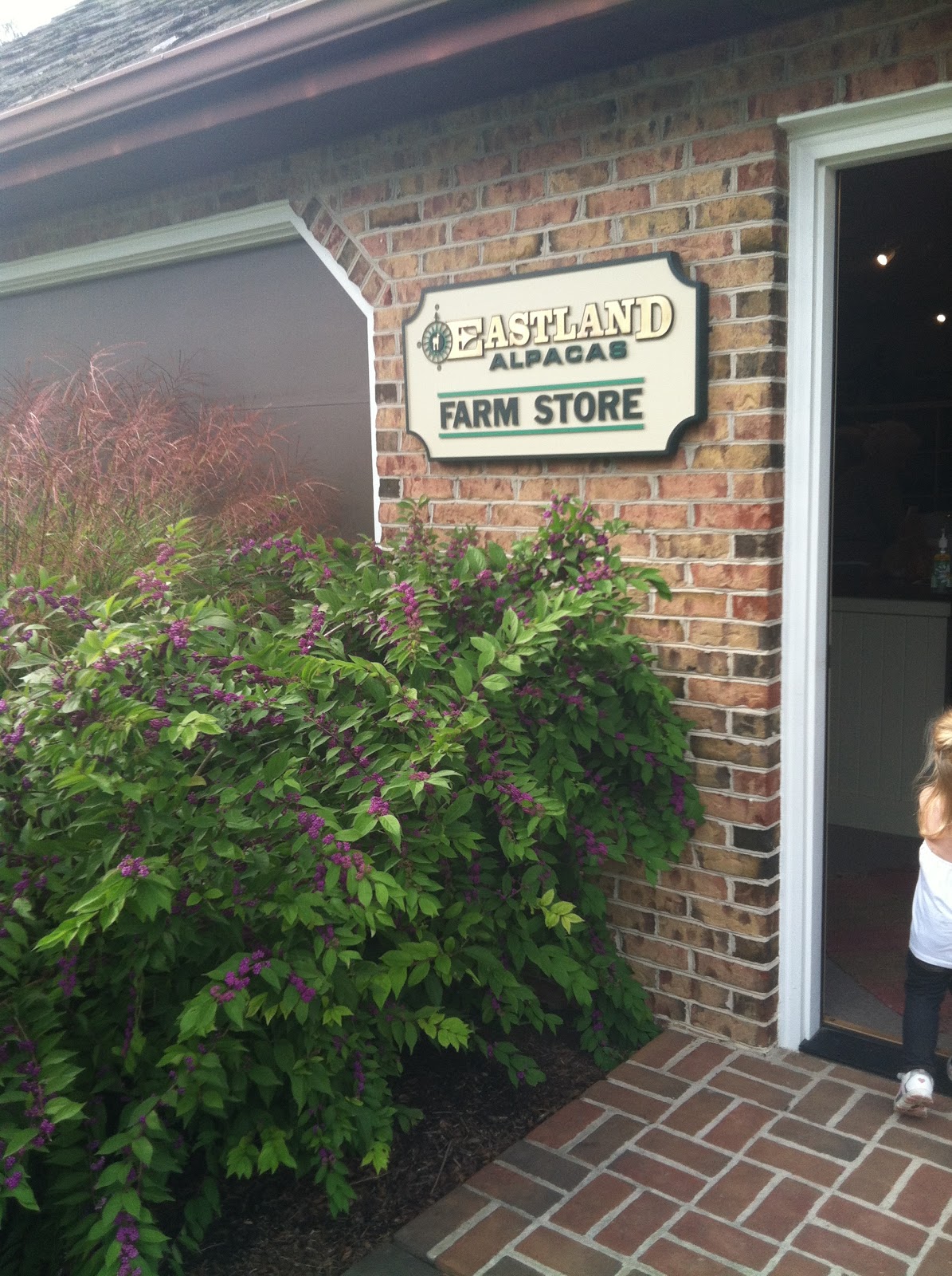 The Ultimate Life List LIFE LIST ALPACA FARM