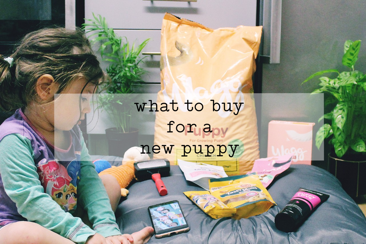 What to buy for a new Puppy thenearydiaries