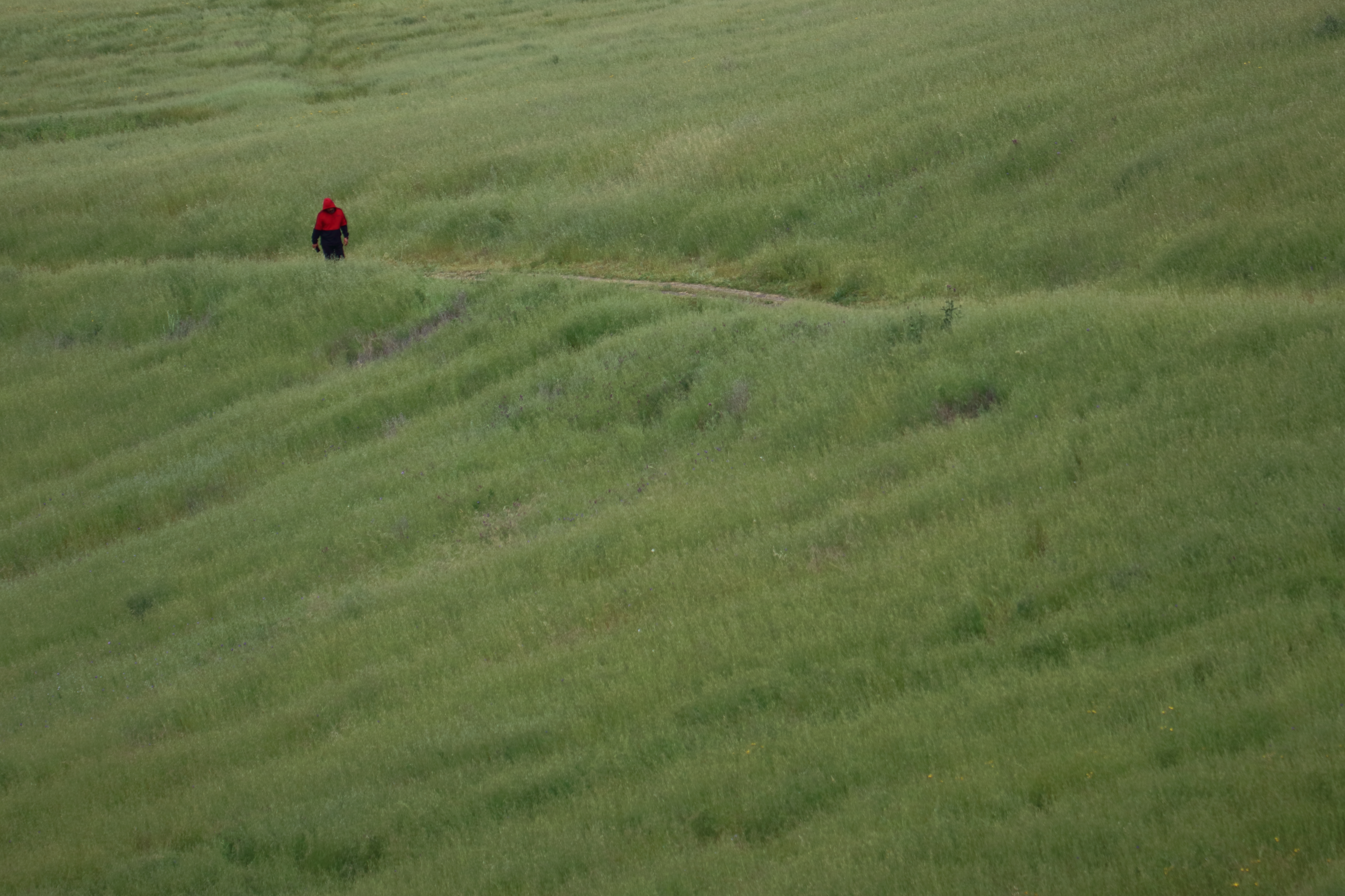 Coyote Lake County Park