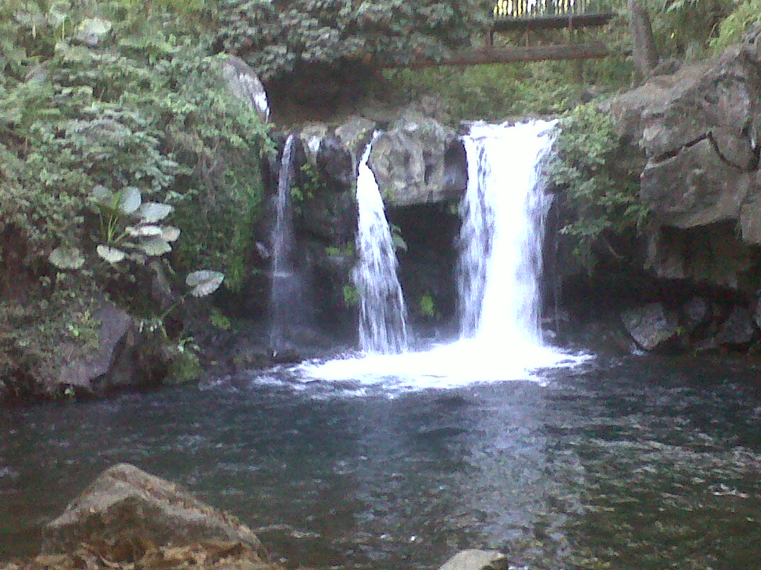 " Inmobiliaria Charanda " Parque Nacional, Uruapan, Michoacán, México