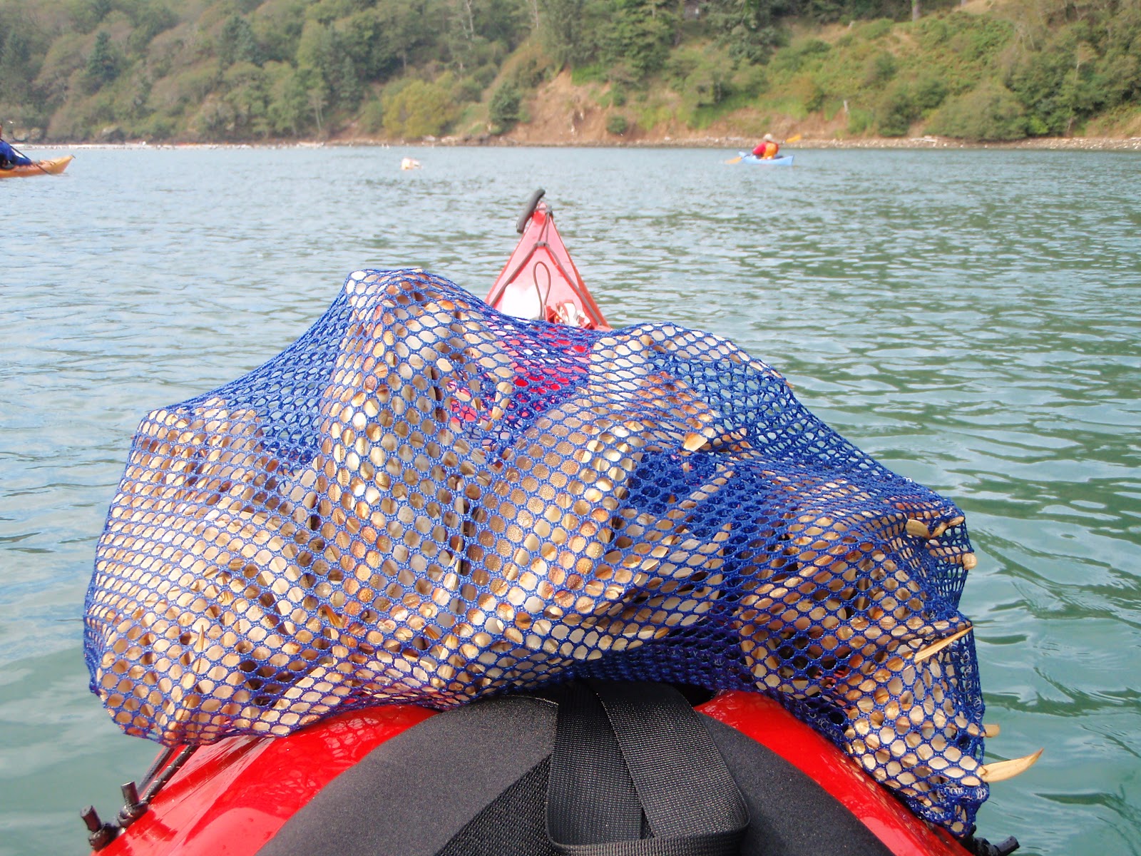 Waterman by Jason Self Saltwater Fishing for Sea Kayakers in the San