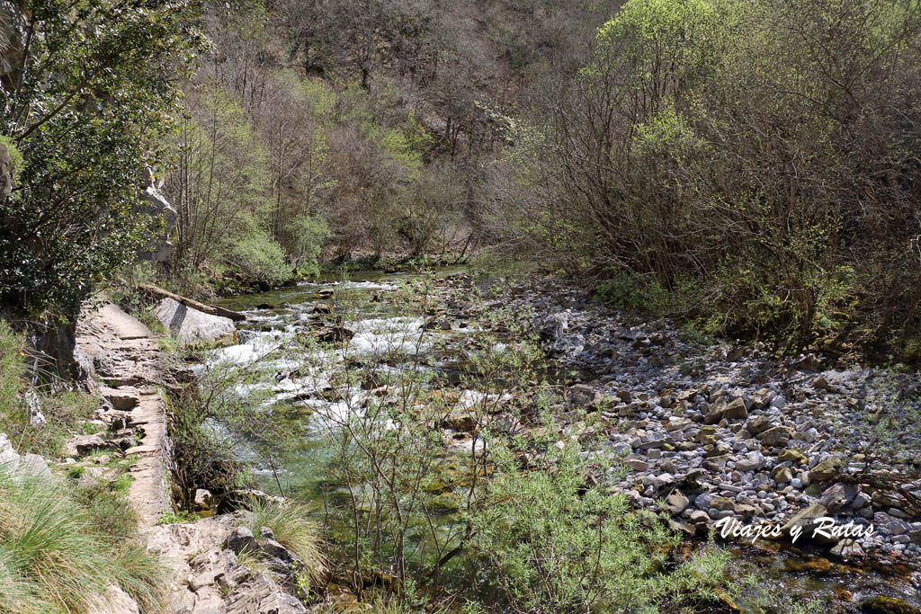 Olla de San Vicente, Asturias