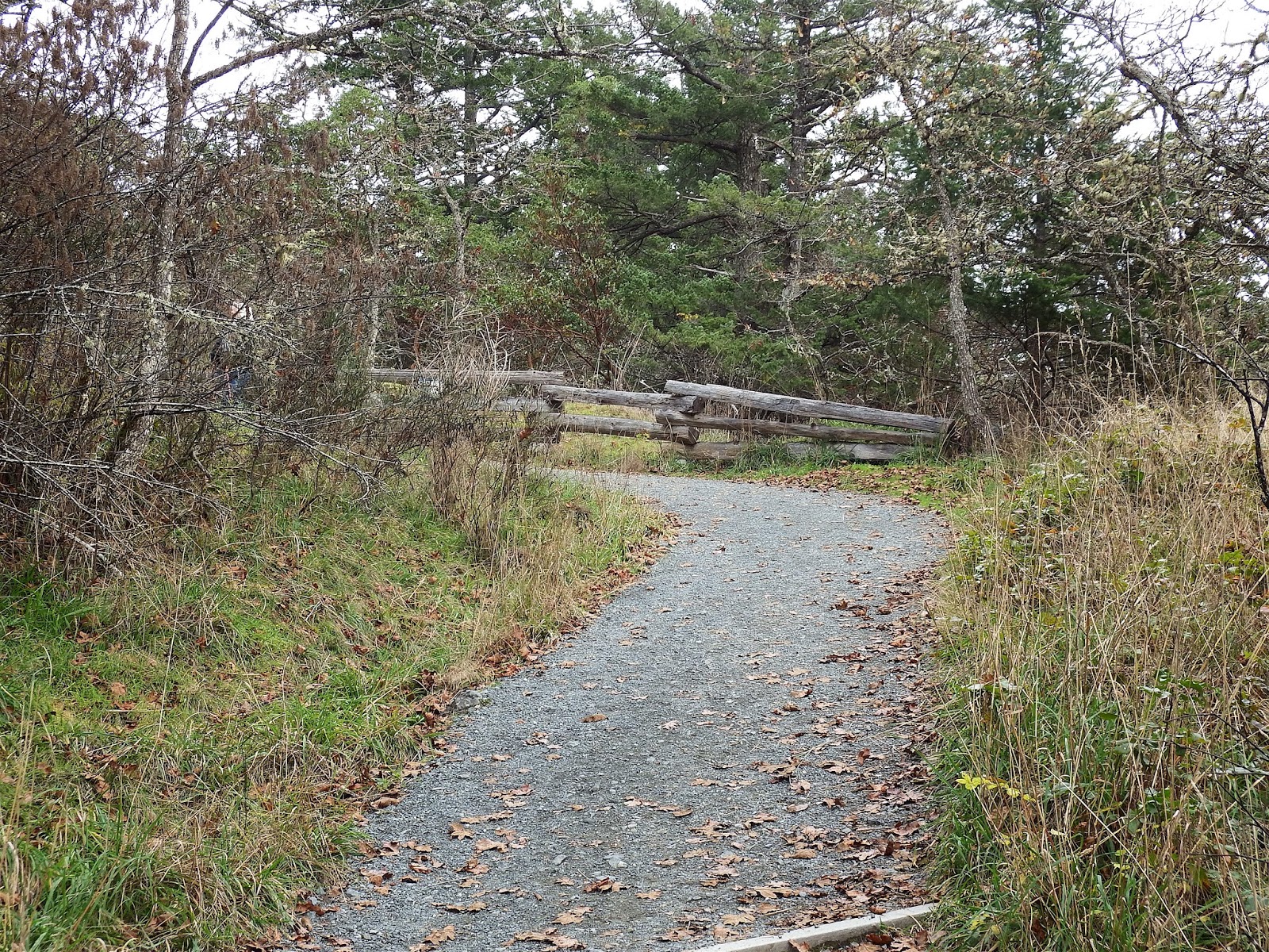 Wheelstogogo Travel Tales. Remembrance Day & A Hike up Mill Hill