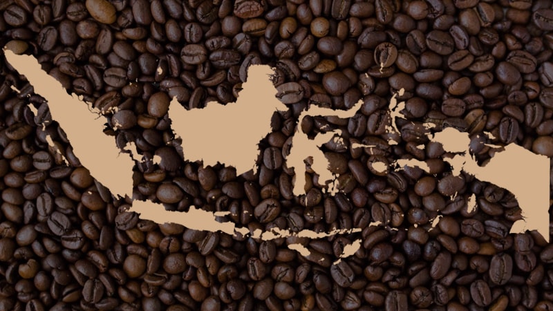 jenis jenis kopi di indonesia lengkap  Elinotes review