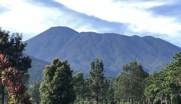 Nekat Relaksasi PSBB, Kurva Corona Indonesia Diprediksi seperti 'Gunung Gede'