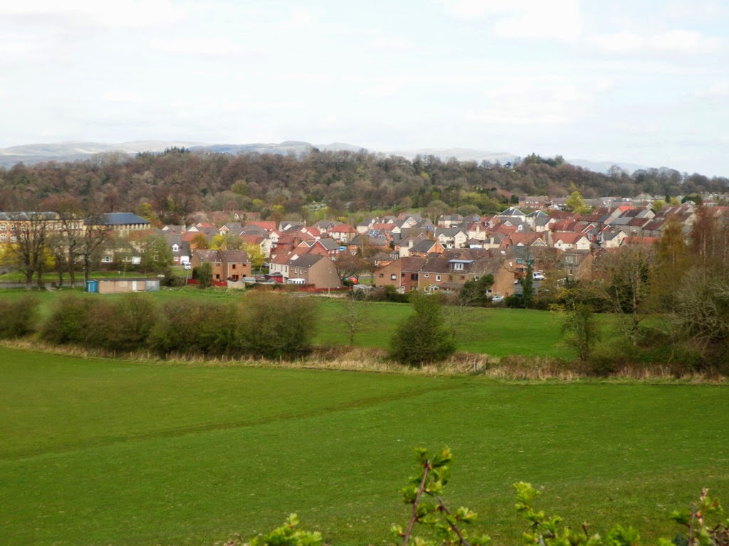 My Daily Walk Cambusbarron