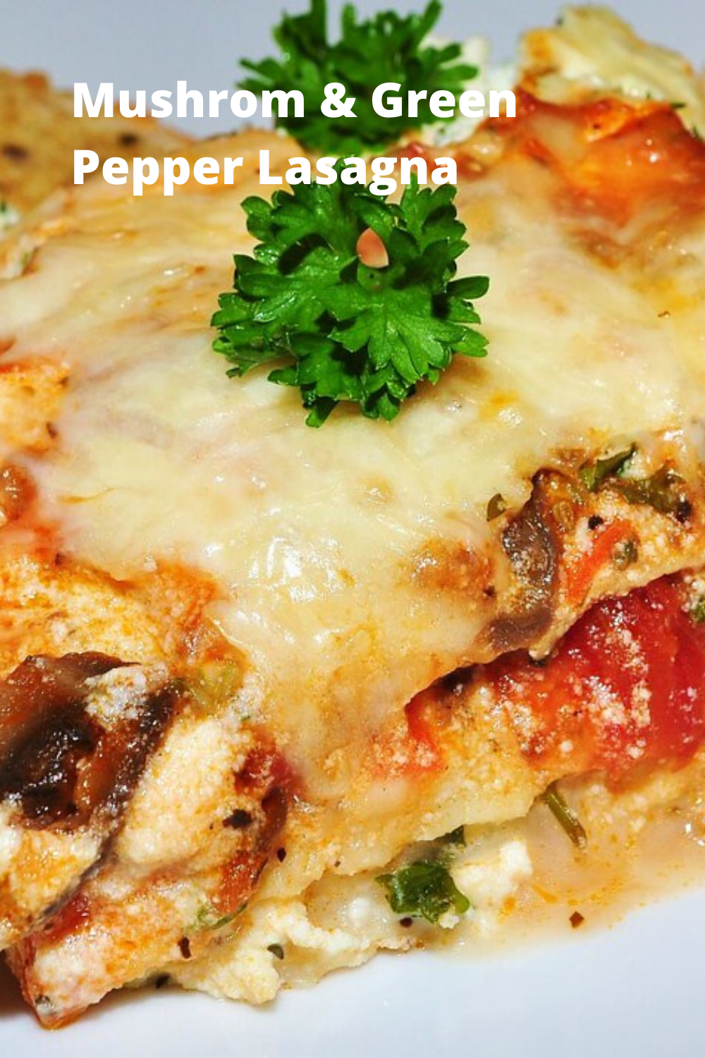 Mushroom & Green Pepper Lasagna