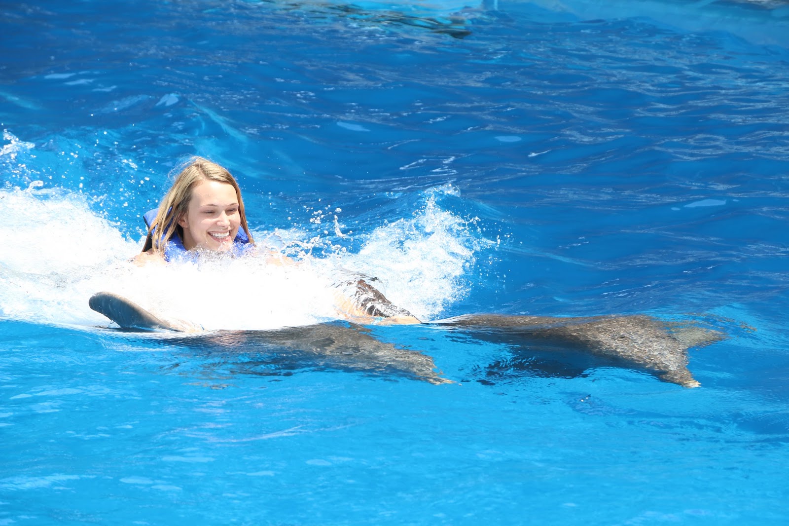 Life Where We Park It Gulf Shores, Alabama Swimming with Dolphins