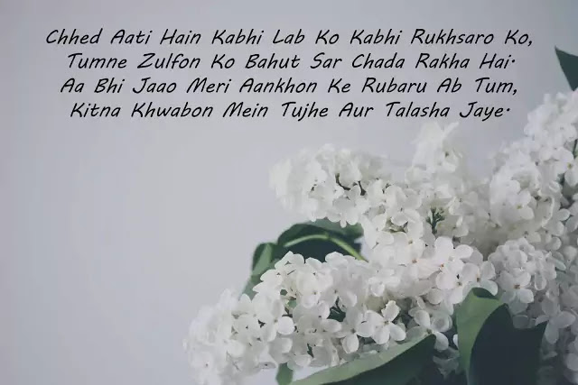 happy new year 2019 shayari images hd download happy new year 2019 shayari images hd download