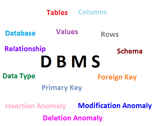 DBMS Administrator