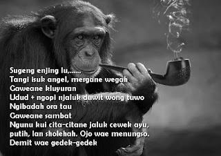 Kumpulan ucapan sugeng enjing lucu beserta gambarnya - yosefpedia.com