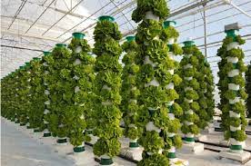 vertical farming vertical farming