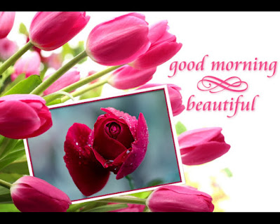 Good Morning Images, Photos, Gif, Pic For Whatsapp Good Morning Images, Photos, Gif, Pic For Whatsapp