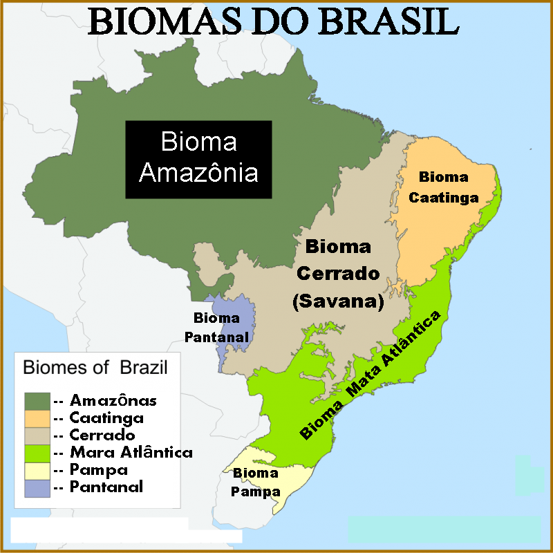 Qual A Importancia Dos Biomas Brasileiros Modisedu