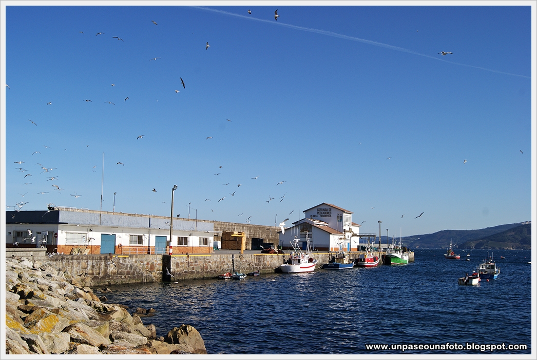 Un paseo,una foto Malpica de Bergantiños (A Coruña)