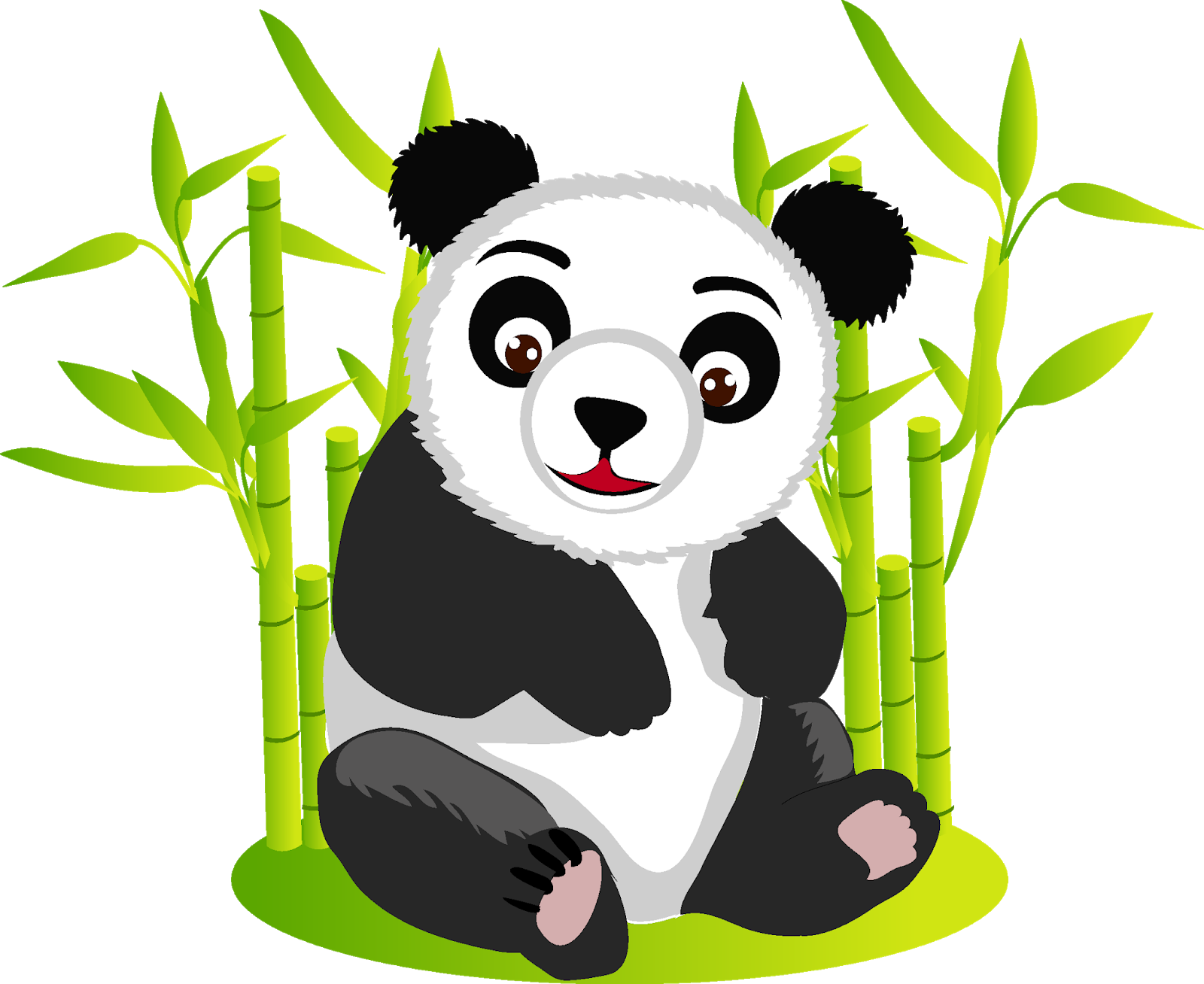 Animal's HD Images Photos Wallpapers free Download: @2019 Panda HD