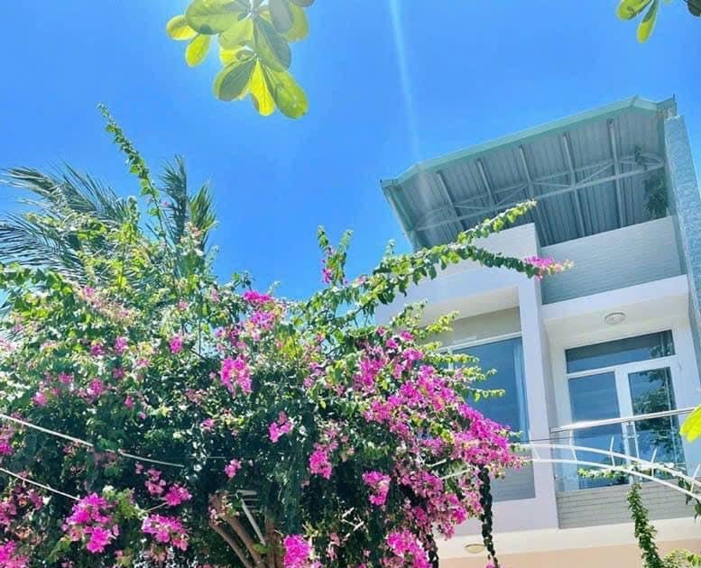 Vung Tau House Rental Villa for rent under 1.000
