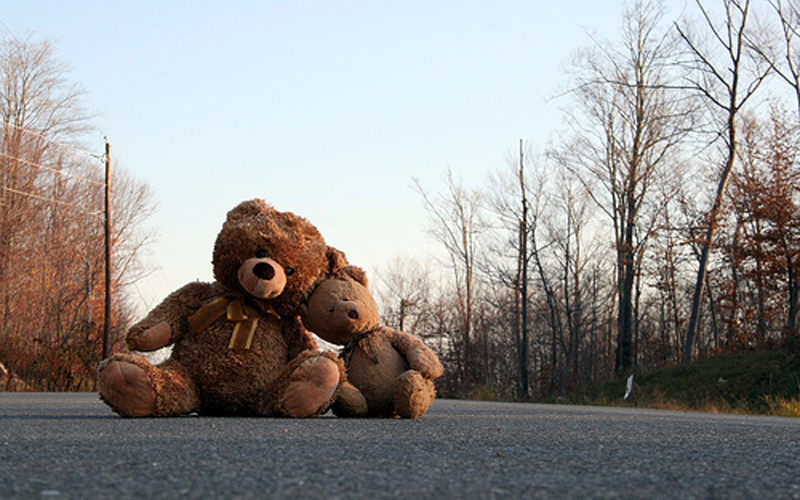 Beautiful Cute Love of Teddy Bear