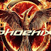 Phoeni: Add-on kodi tv, películas, series, deportes, infantil, latino, castellano y adultos