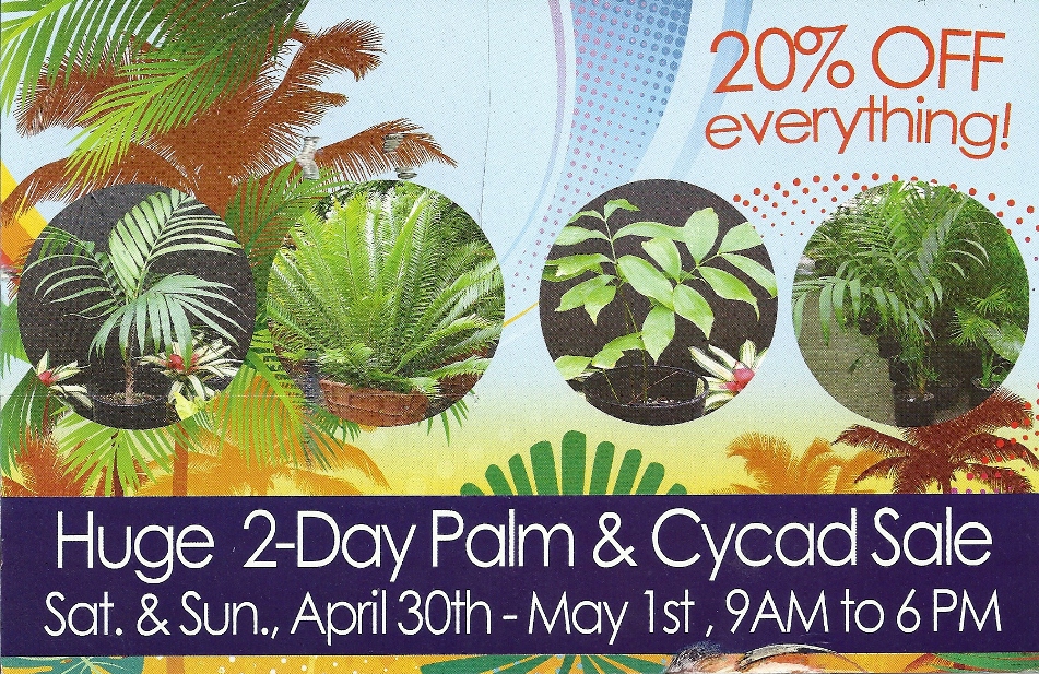 The 2 Minute Gardener Nursery Review Jungle Music