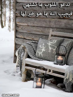 4d61bb674cc646a2655ed7c2d7eb9102