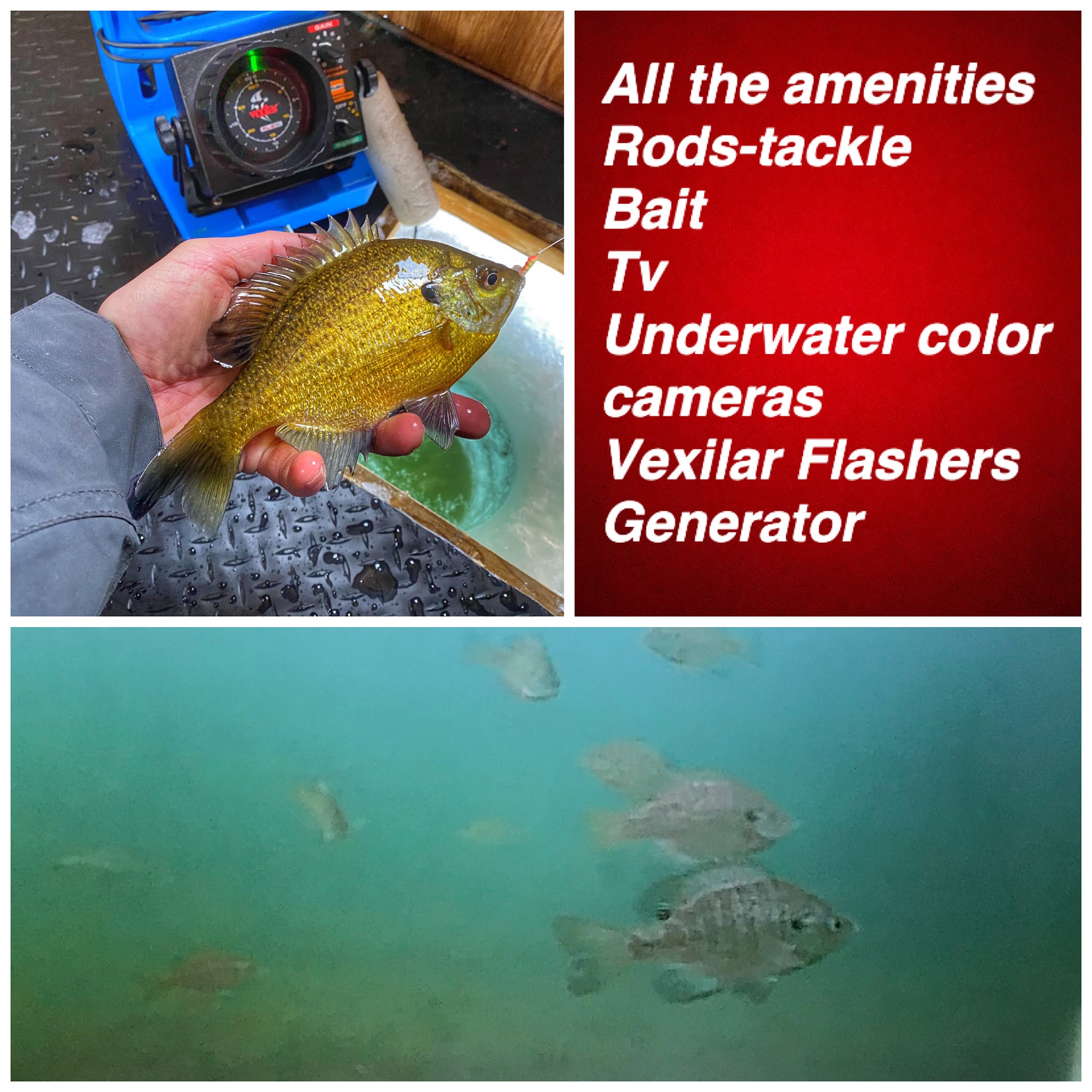 Take the Bait Guide Service LLC on Lake