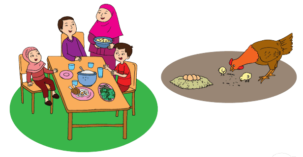 Lengkap Kunci Jawaban Kelas 3 Tema 1 Subtema 1 Pembelajaran 3 Jawaban Tematik Terbaru