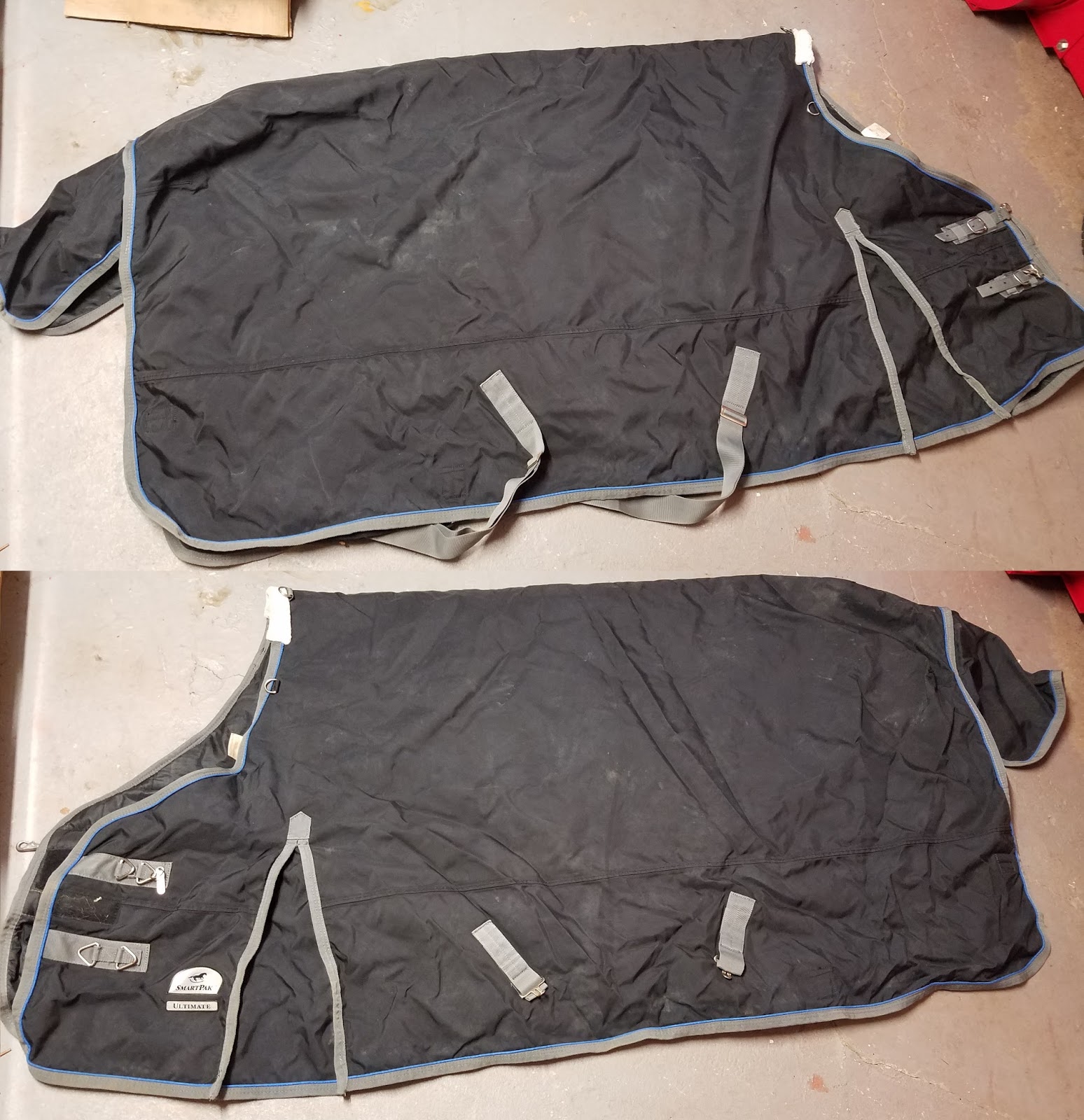 Dream Big Blankets, Clipping, and Training