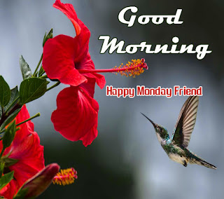 happy-monday-good-morning-in-hindi